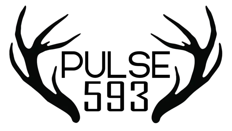 Pulse 593